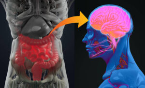 what are symptoms of brain gut dysfunction?