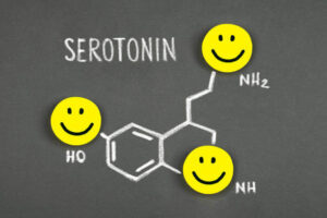 how to increase serotonin in the gut